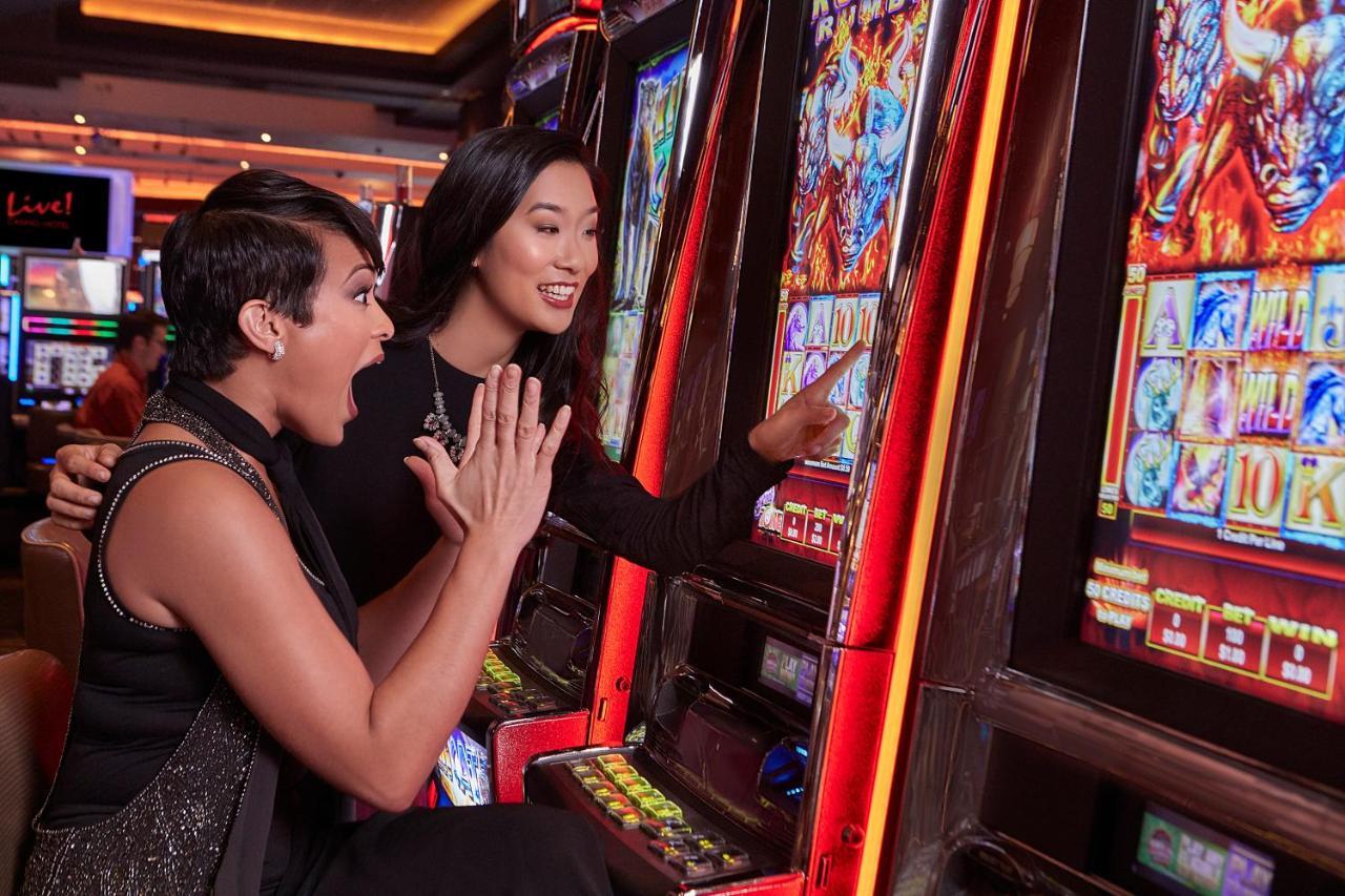 Hotel Live! Casino & - Baltimore Washington Airport - Bwi 5*